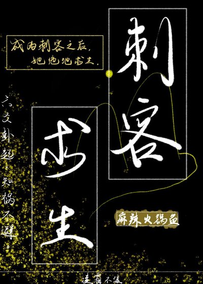 刺客平生錄