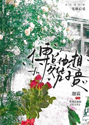 傅總他想父憑子貴[gb]