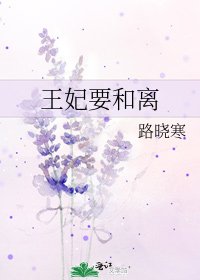 《王妃要和离》