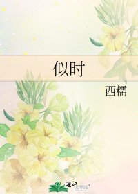 《似时》