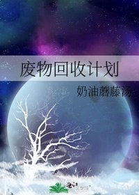 廢物回收計劃