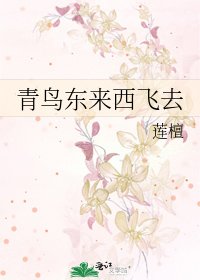 《青鳥東來西飛去》