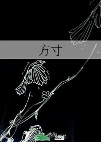 《方寸》