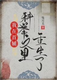 《我在首辅科举文里重生了》