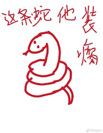 《这条蛇他装瘸(女尊)》