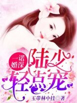 《一诺婚深:陆少,轻点宠》
