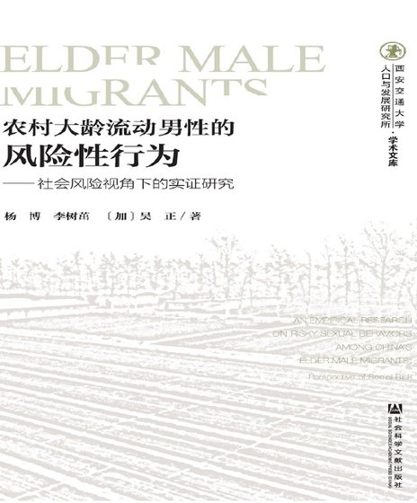 農村大齡流動男性的風險性行為：社會風險視角下的實證研究（出版書）