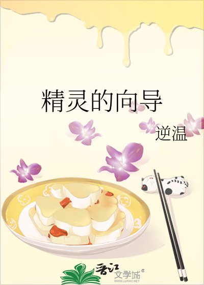精灵的向导