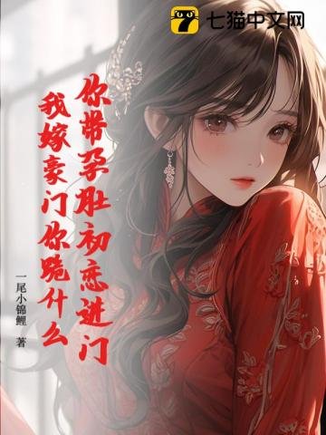 你带陨赌初恋任门,我嫁豪门你跪什么