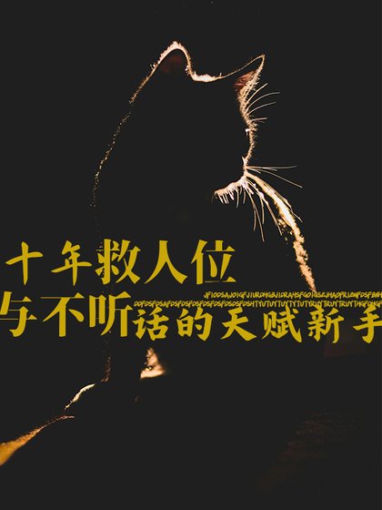 驯伏傲过新手的方法