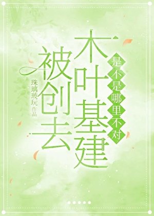 《被创去木叶基建是不是哪里不对》