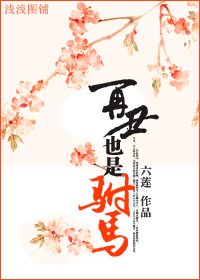 《再丑也是驸马》