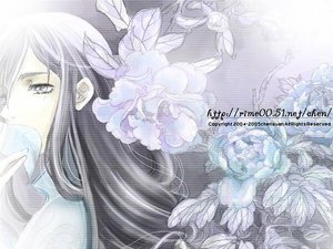 《素羅》