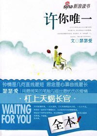 杠上天蝎长官:许你唯一