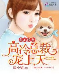 甜心暖妻：高冷總裁寵上天