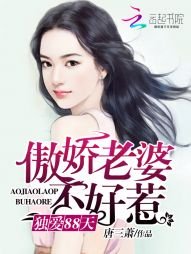 《傲娇老婆不好惹:独爱88天》